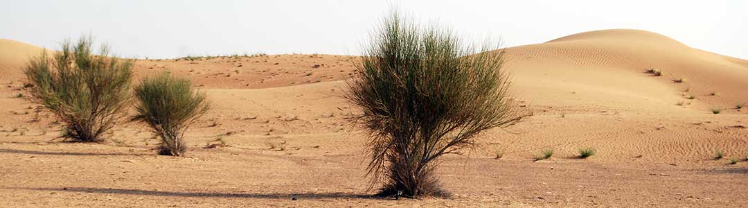 Dubai – destination nowhere