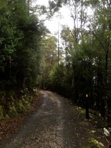Happy Trails