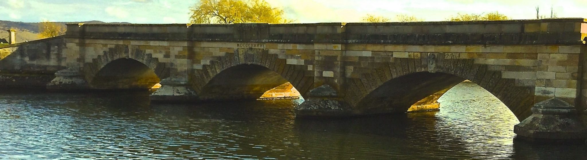 Conquering the Ross Half – Week 9 of Maratraining