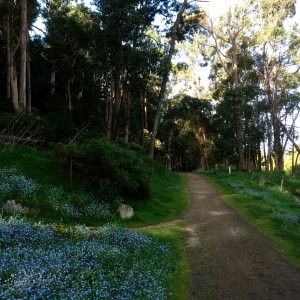 One of my favourite trails