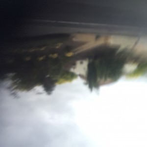 A random artistic shot of Sandy Bay Road taken by my back pocket!