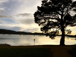 Cornelian Bay at around 6:45AM