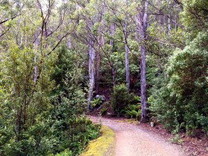 Pipeline Track View