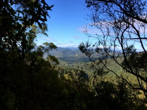 View on Pipeline